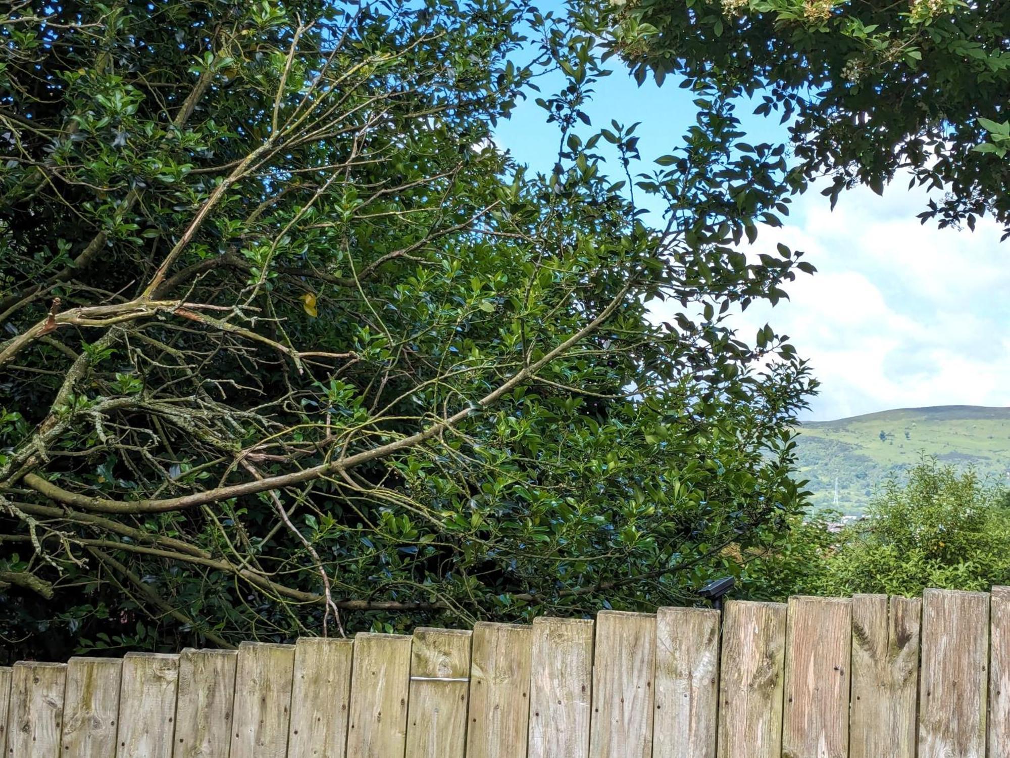 Villa Heart Of Belfast With Private Garden Exterior foto